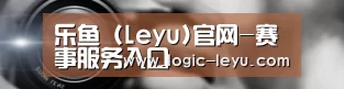 公司动态