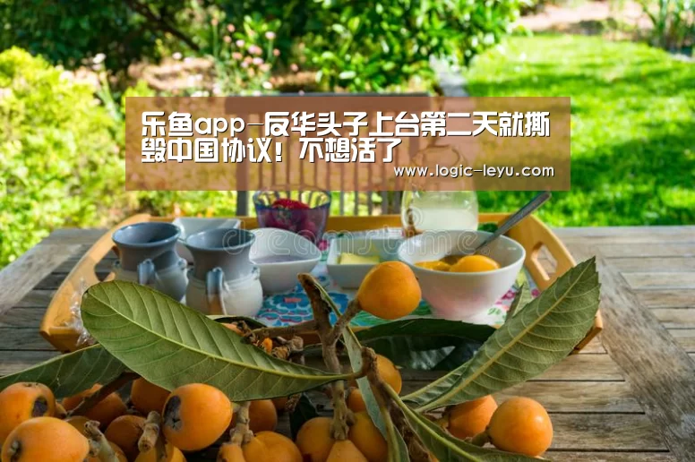 乐鱼电竞