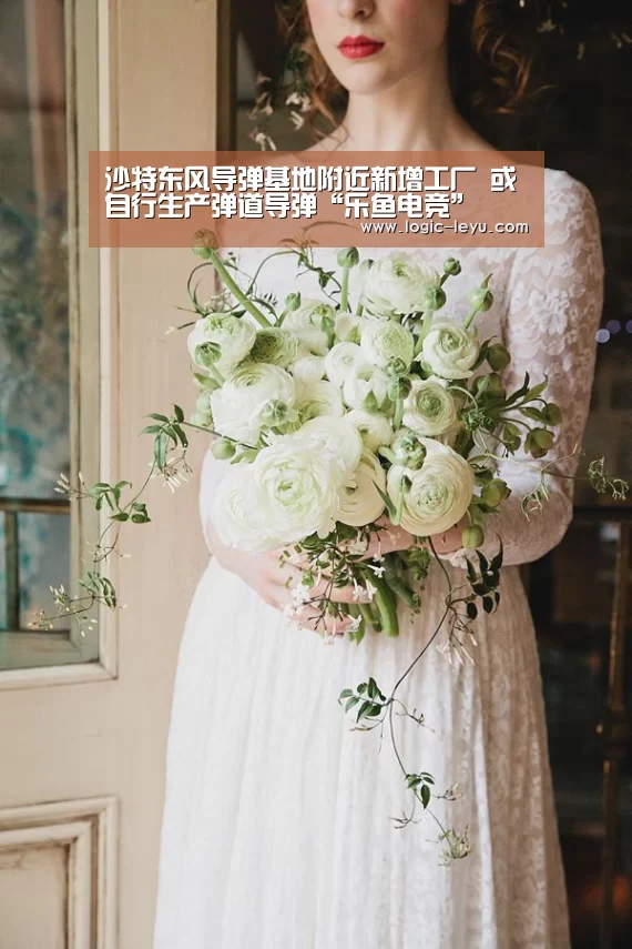 乐鱼app