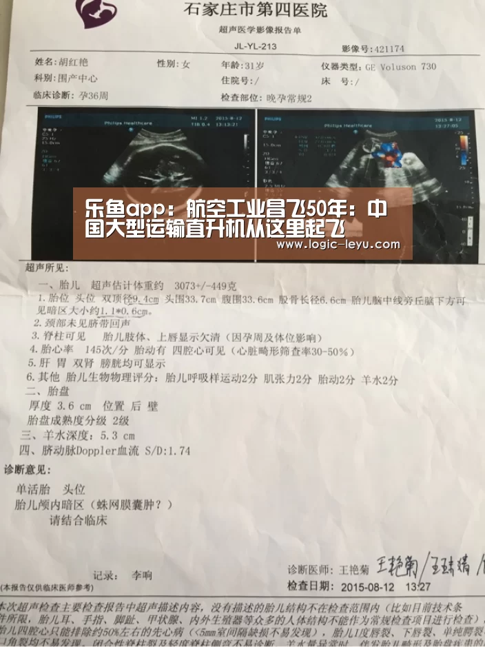 乐鱼app