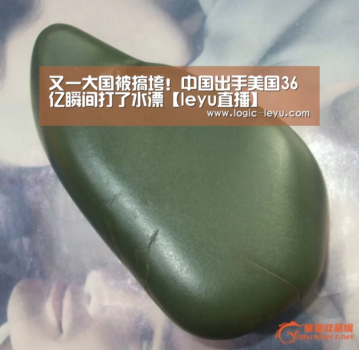 乐鱼