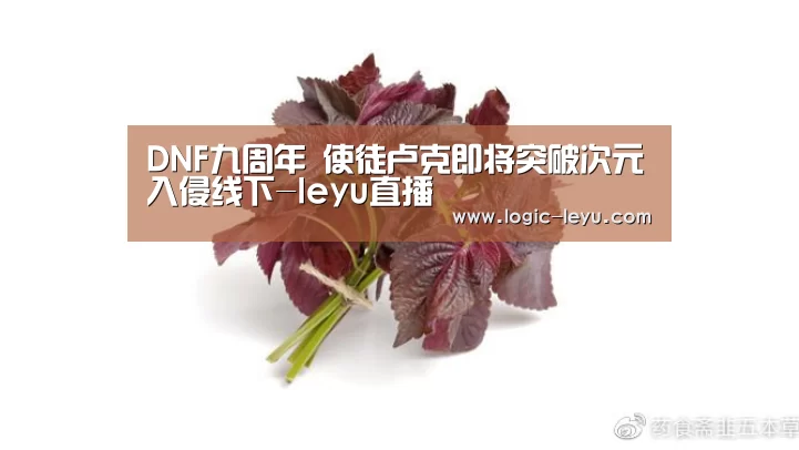 DNF九周年 使徒卢克即将突破次元入侵线下-leyu直播(图1) 乐鱼电竞